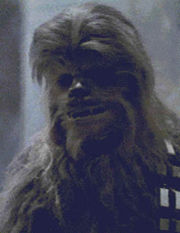 Chewie.bmp (488430 bytes)