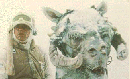 tauntaun.gif (10621 bytes)